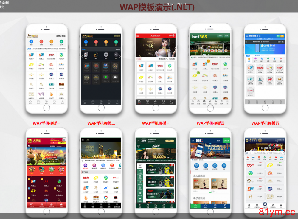 NG游戏接口厂商多版前端NET版本综合盘系统源码